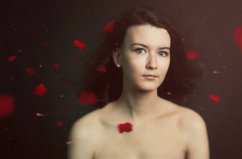 №2, Петр Бондаренко №2, Петр Бондаренко