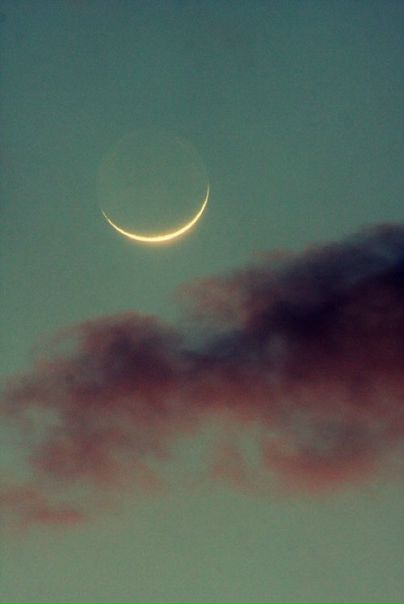 №127, Марьяна Сёмкина, London №127, Марьяна Сёмкина, London