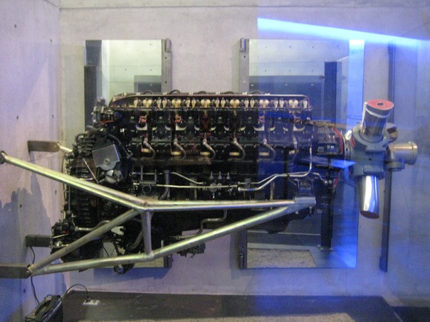 №98, Maksim Arshavsky, Auckland №98, Maksim Arshavsky, Auckland