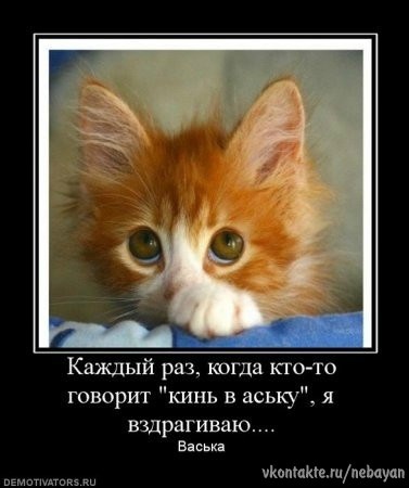 №8, Лёша Кирилюк, 30.12.1997, Минск №8, Лёша Кирилюк, 30.12.1997, Минск