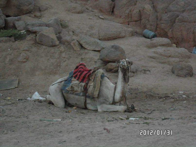 Юра Гемелюк | Киев