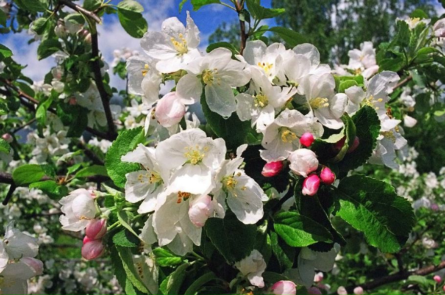 №176, Юлия Каспер-Науменко, Киев №176, Юлия Каспер-Науменко, Киев