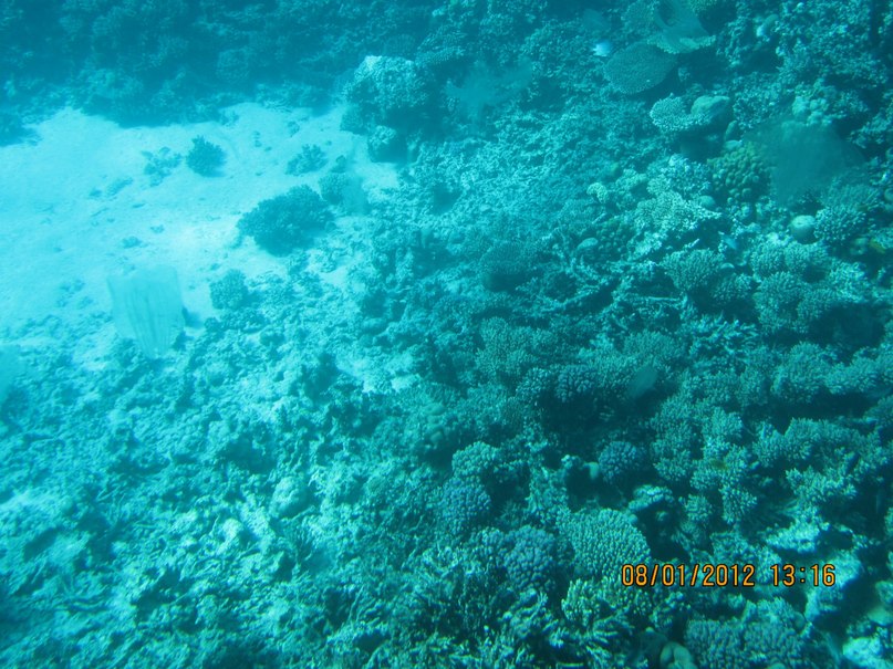 Анастасия Рыбалова | Тюмень