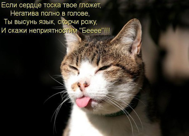 Надежда Клокова | Магнитогорск