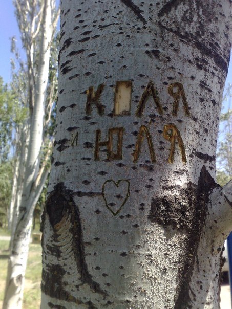 Колёк Черкесов | 