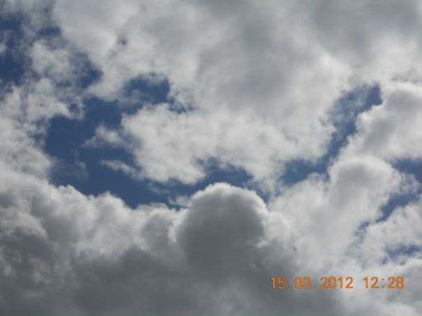 №86, Алексей Белокуров, Санкт-Петербург №86, Алексей Белокуров, Санкт-Петербург