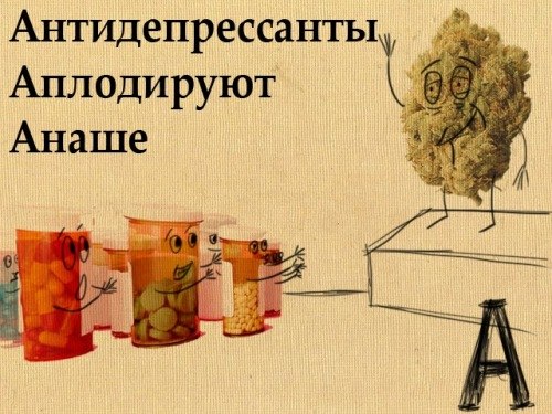 Рома Маклюк | 