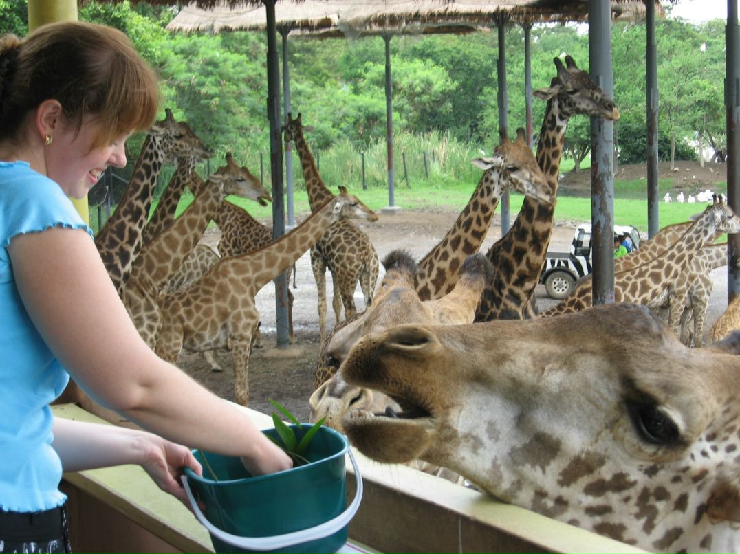 Елена Ефимова | Санкт-Петербург