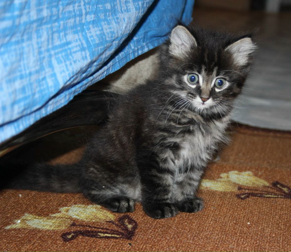 Марина Черябкина | Москва