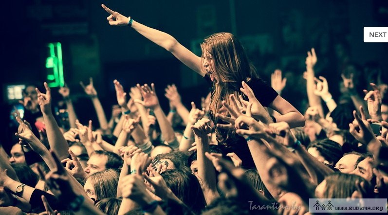 Анна Смирнова | 