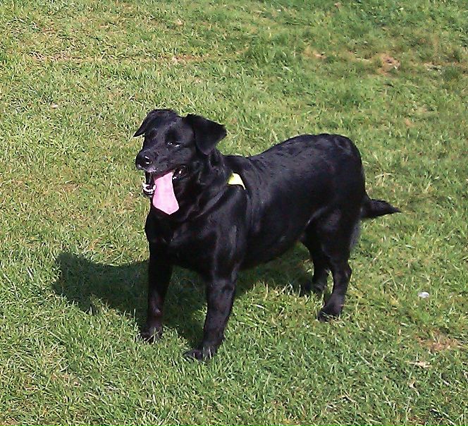 №118, Юлия Пузырева, 48 лет, Санкт-Петербург №118, Юлия Пузырева, 48 лет, Санкт-Петербург