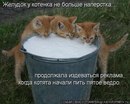 №26 Евгения Астраханцева 12.06: профиль, фото, статус - ВКонтакте №26 Евгения Астраханцева 12.06: профиль, фото, статус - ВКонтакте