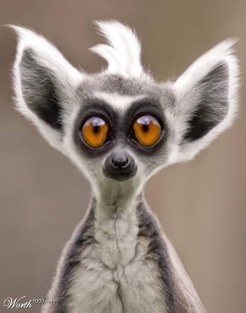 Анька Алексеева @ni@ ;) | Москва