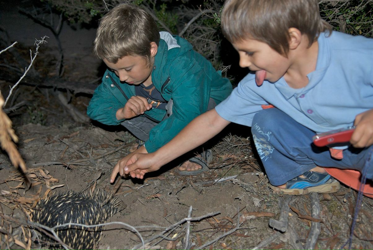 Дрю Святицкий | Melbourne