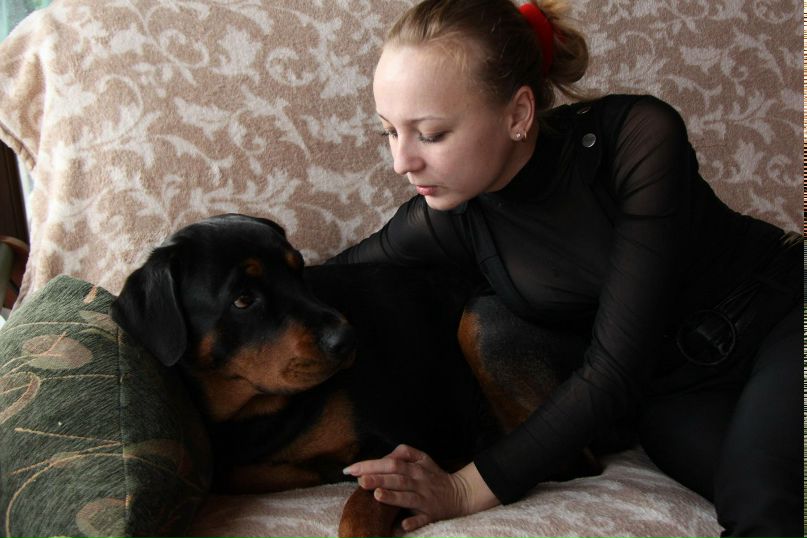 Михаил Филиппов | Гусь-Хрустальный