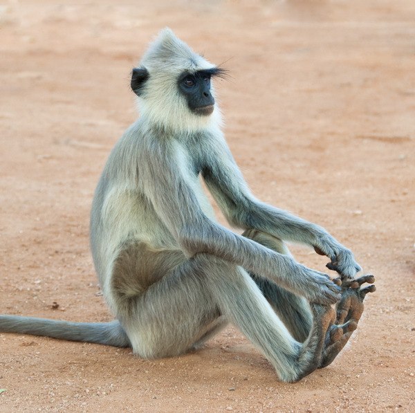 Алина Попова | Нижний Новгород