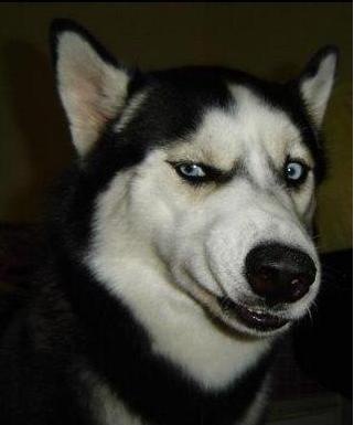 №196, Timofey Lulyakov, New York City, США №196, Timofey Lulyakov, New York City, США