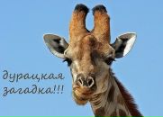 №23 Влада Кузина : профиль, фото, статус - ВКонтакте