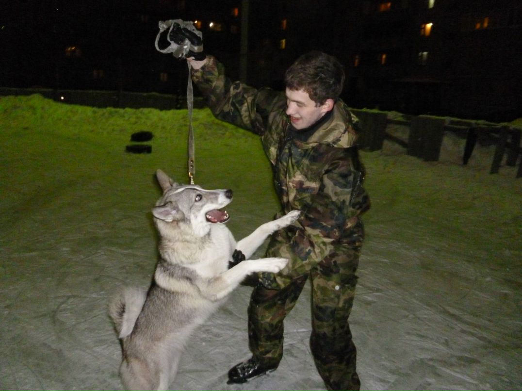 Андрей Озеев | Йошкар-Ола