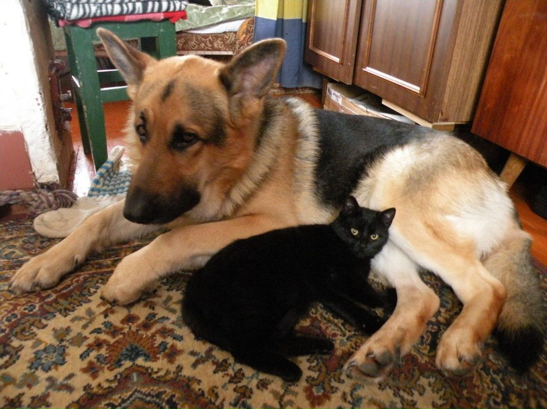 Виктор Морозов | Санкт-Петербург