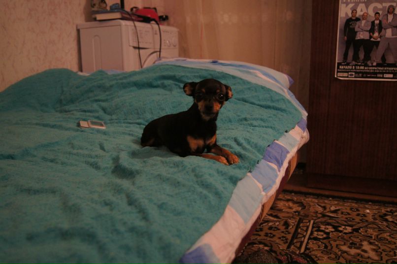 Аня Иванова | Москва