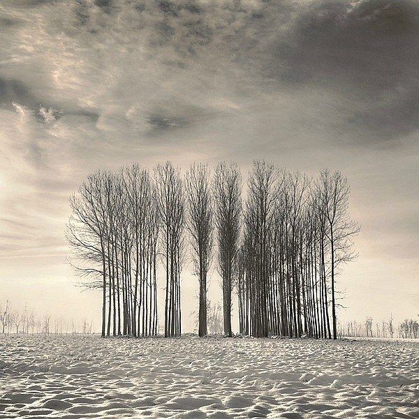 Виталик Шидей | Каменец-Подольский