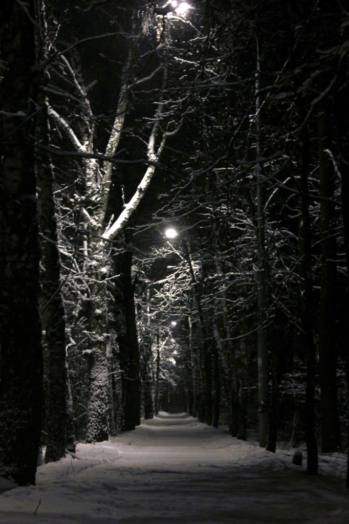 Sasha Legostaev | Москва