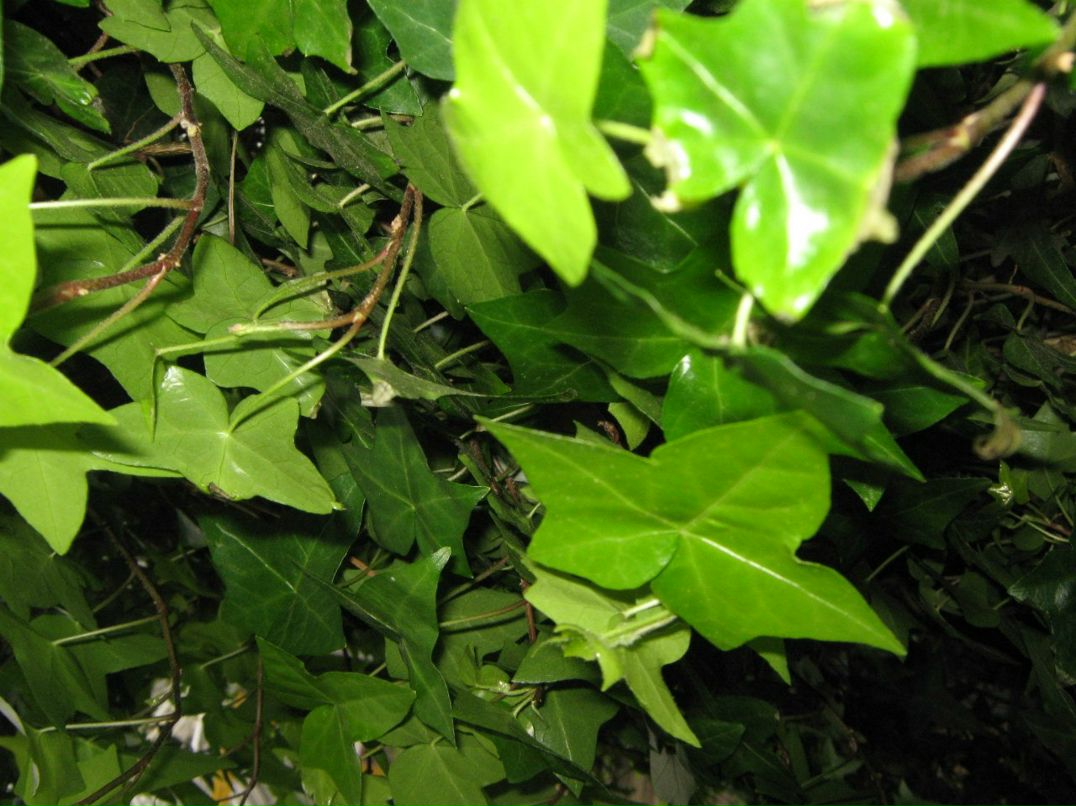 Андрей Михайлов Анатольевич | Ижевск