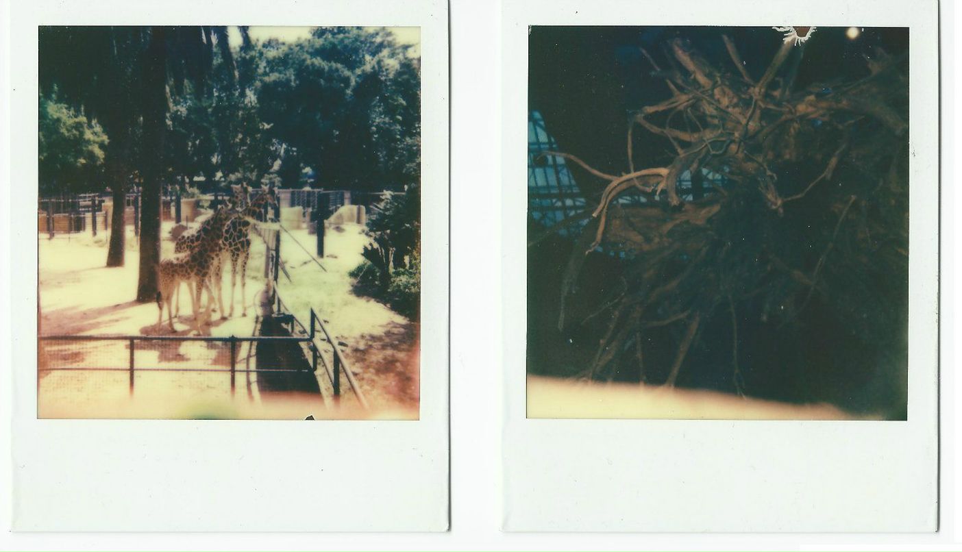 Nastasia Lyon | London