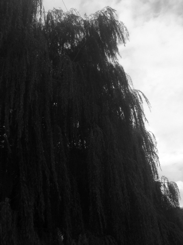 Ксения Нагорная | Чернигов