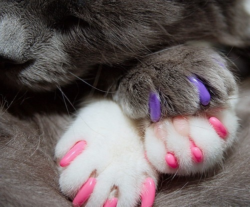 №32, Наталия Хвастовская, Харьков №32, Наталия Хвастовская, Харьков