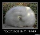 Фотография Лилия Рыжова