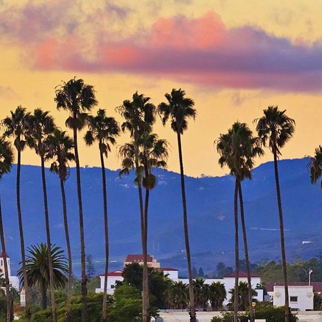Santa barbara gay life