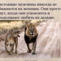 Андрей Еловский