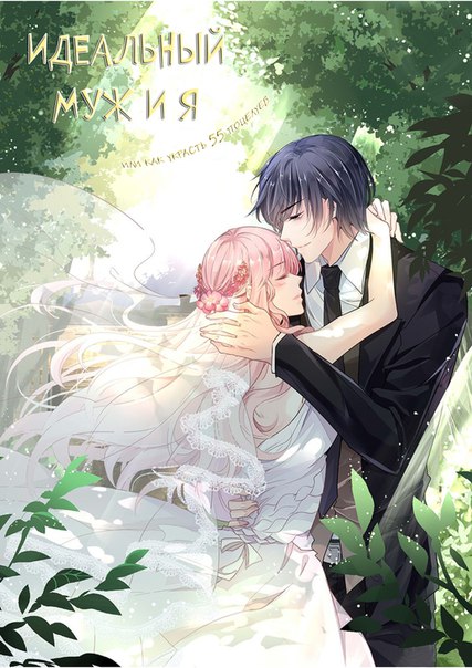 Taking a perfect husband home anime