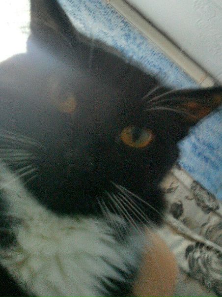 Айзат Сайфутдинов, Россия, Тольятти