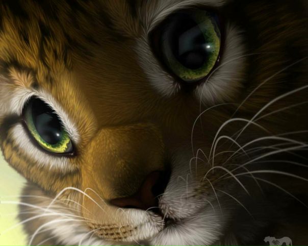 Валера Беккер, Россия, Москва