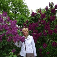 Екатерина Данилова