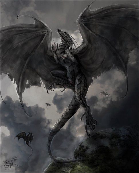 Shinomika Ohao, Россия, Ярославль