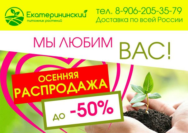Интернет Магазин Екатерининский Питомник Растений