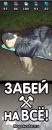 Фотография Александр Тряпицин