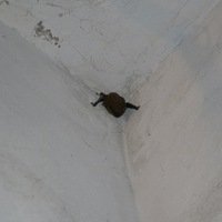 Катя Беспалова