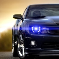 Александр Лукьянов