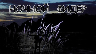 Ночной фидер на нижней Москве реке в июле.