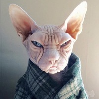Сергей Зюзин