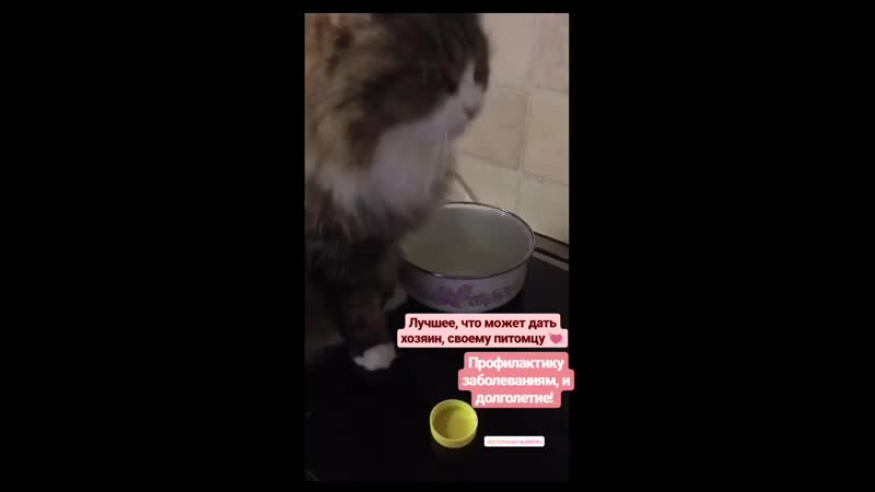 VID_112220403_213539_171.mp4