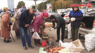 Сезон ярмарок стартовал