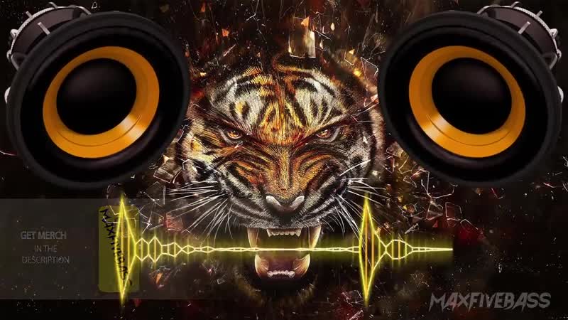 BASS
