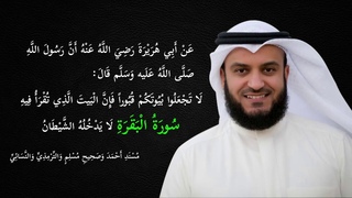 Surat Albaqara Mashary Alafasy - سورة البقرة مشاري العفاسي