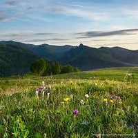 Валентина Никитина